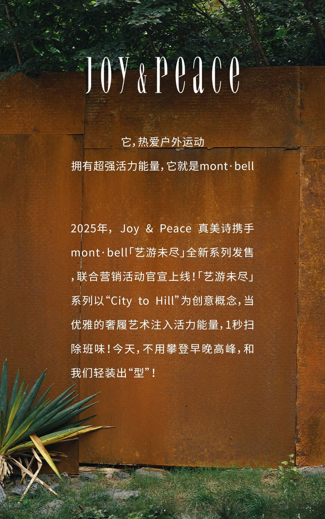 a5d6cce92149f67718251e477ccfb8f6.jpg