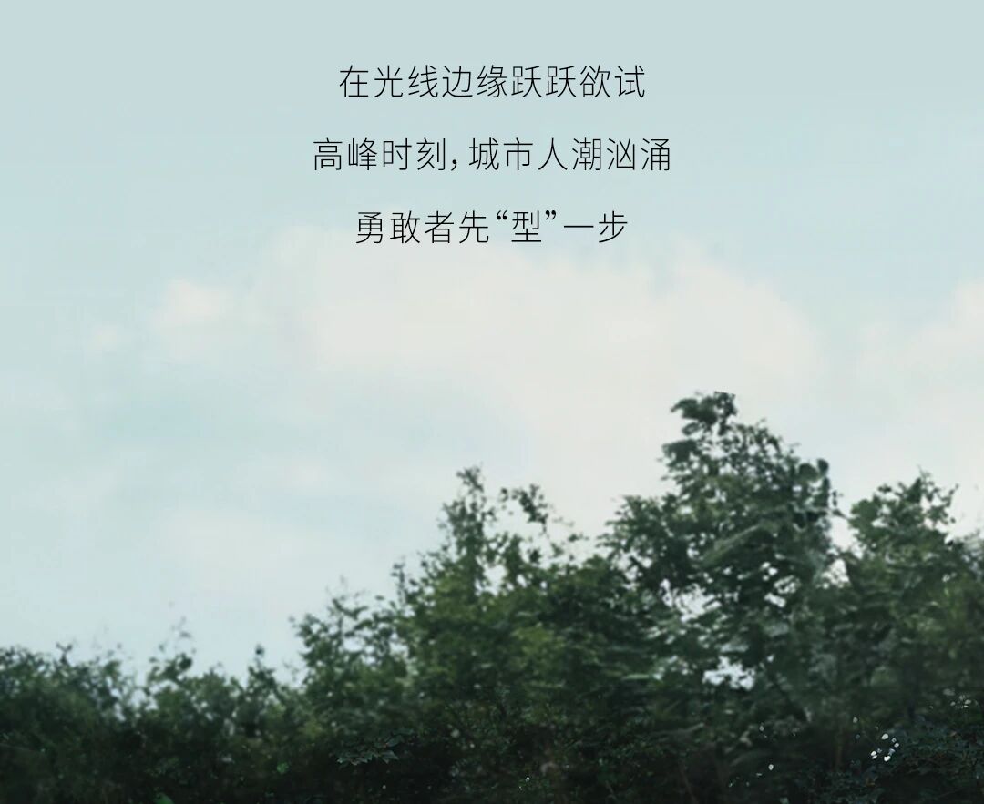 ff71024e733881975d8b5f0dfc53bc11.jpg